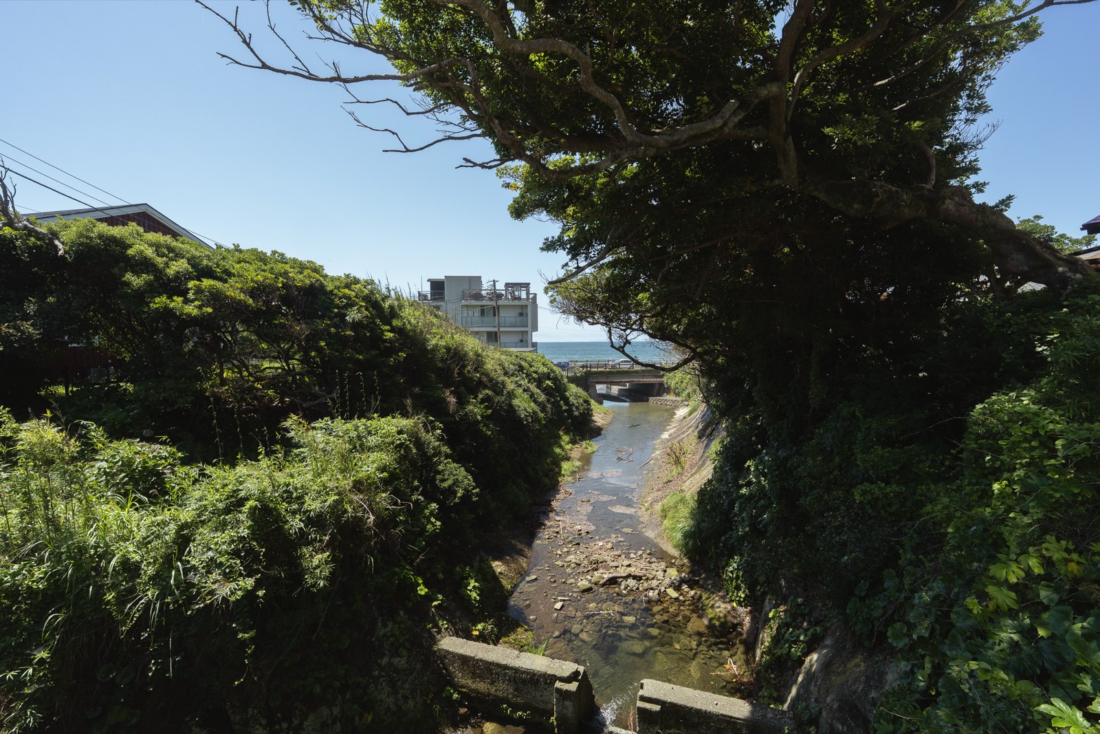 敷地周辺の緑に挟まれた小川と、その先に広がる相模湾